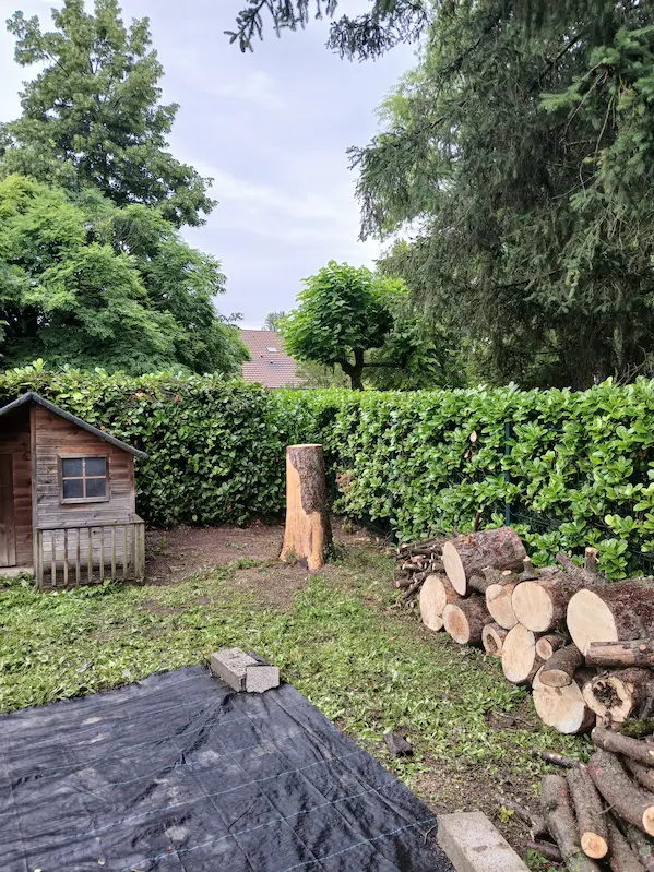 abattage sapin Gières après