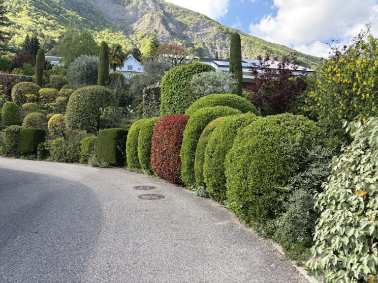 Paysagiste à Crolles - jardin entretenu dans la vallée du Grésivaudan